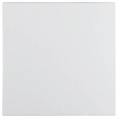 Berker Bouton à bascule     blanc 16201909 1 pc(s)