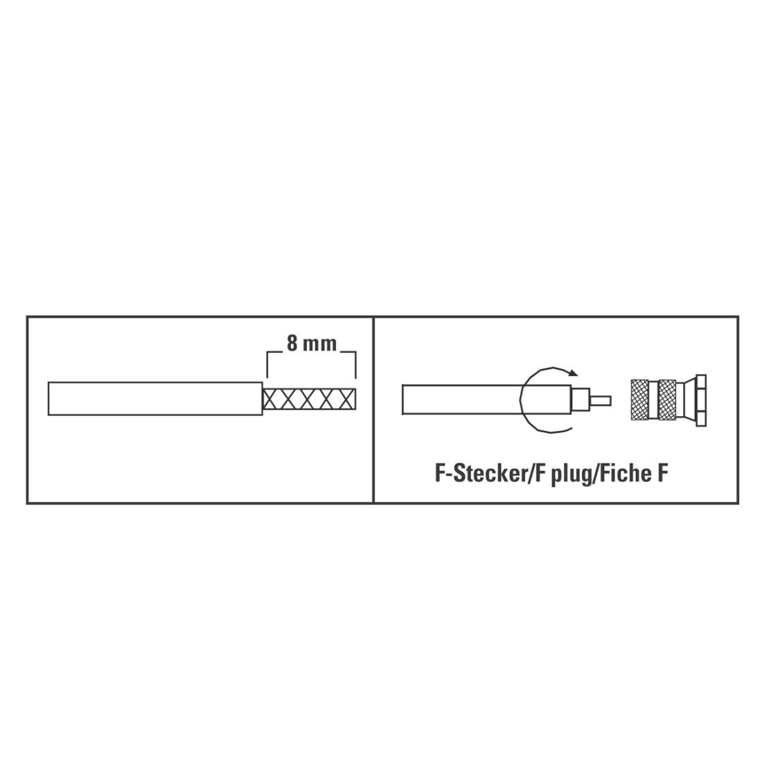 Diagramme montrant un connecteur de type F : dénuder 8 mm de câble, puis visser la prise sur l'extrémité du câble.
