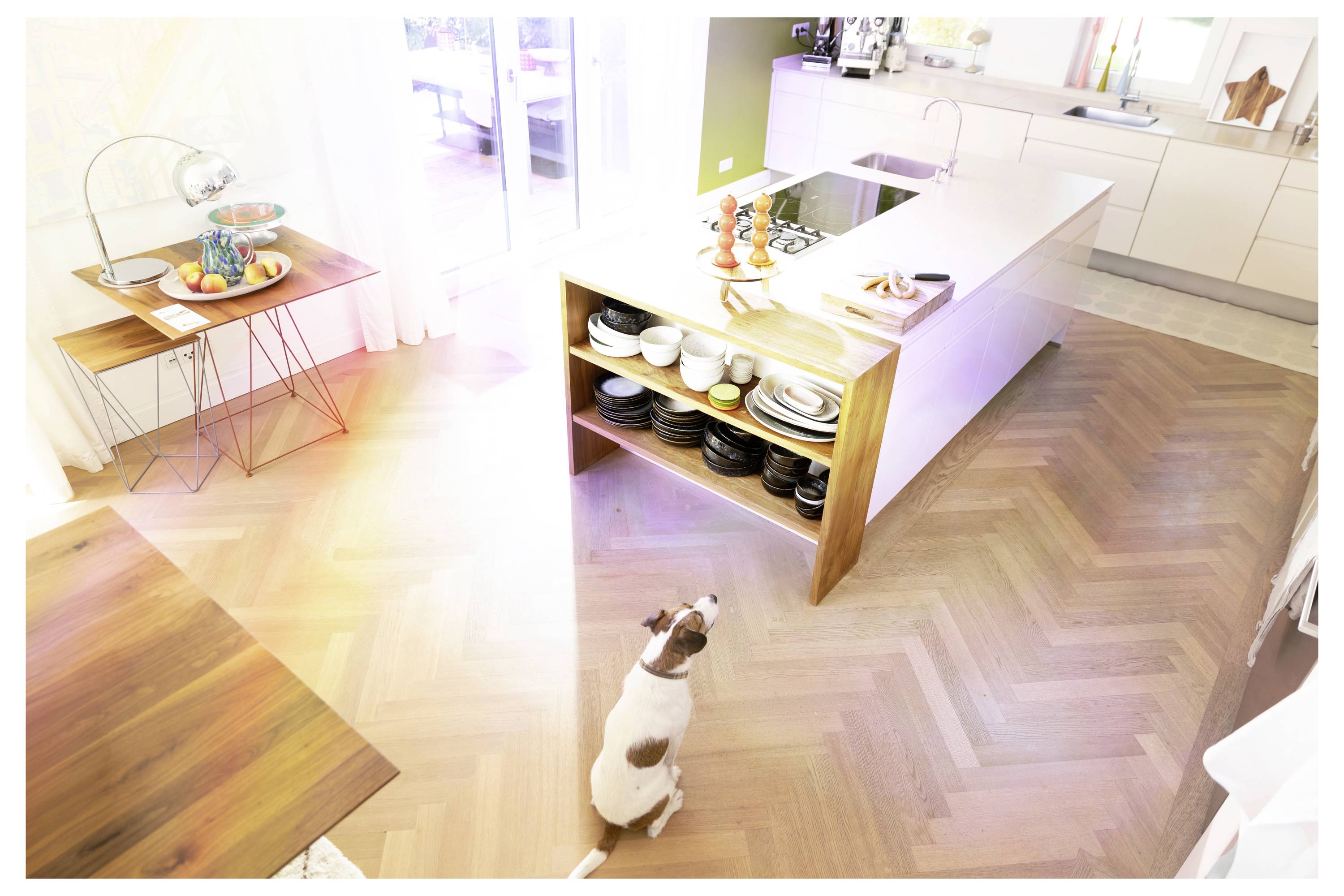 Intérieur de cuisine lumineux avec un îlot central et un petit chien assis sur le sol près de celui-ci ; plateau de fruits sur une table latérale et étagères ouvertes contenant de la vaisselle.