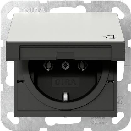 GIRA Prise acier inoxydable 4454600 1 pc(s)