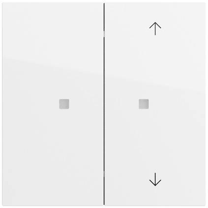 GIRA Bouton interrupteur à bascule 517570 1 pc(s)