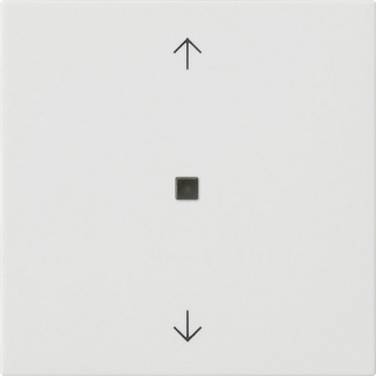 GIRA Insert de commande     blanc 510527 1 pc(s)