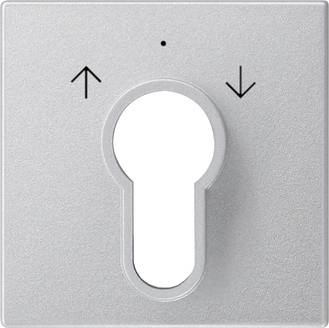 GIRA Plaque centrale aluminium 066426 1 pc(s)