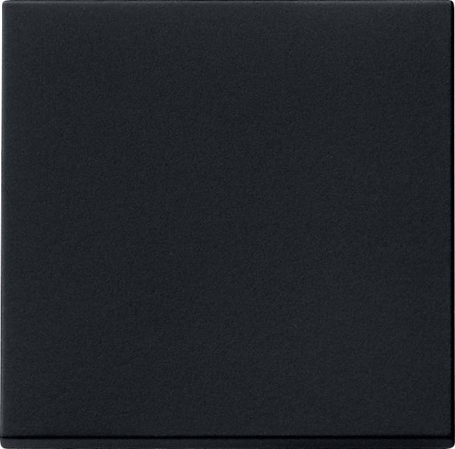 GIRA Bouton à bascule noir 0296005 1 pc(s)-0
