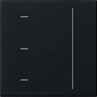 GIRA #####Touchaufsatz noir 5365005 1 pc(s)