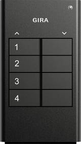 GIRA Emetteur manuel sans fil 535410 1 pc(s)-0
