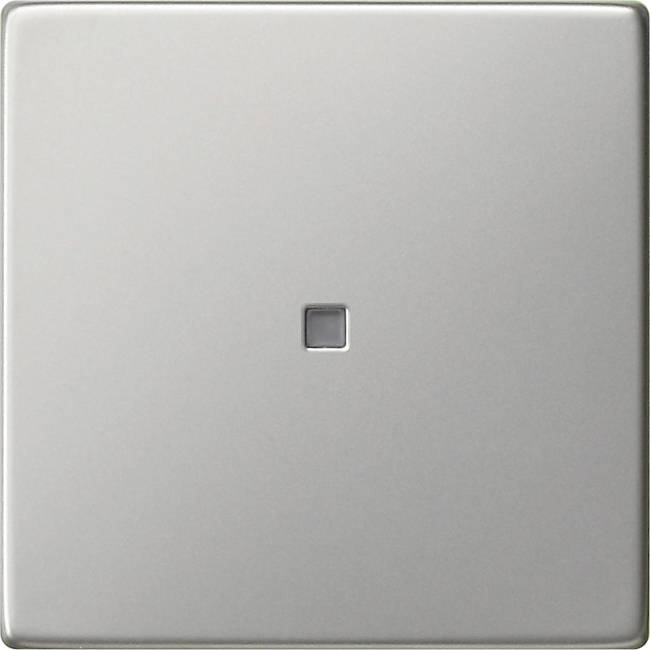 GIRA Bouton à bascule acier inoxydable 0290600 1 pc(s)