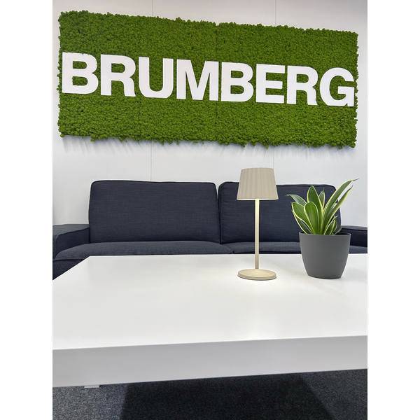 Salon de bureau avec un mur vert, une enseigne affichant « BRUMBERG » au-dessus d'un canapé foncé, une table blanche, une lampe et une plante en pot devant.
