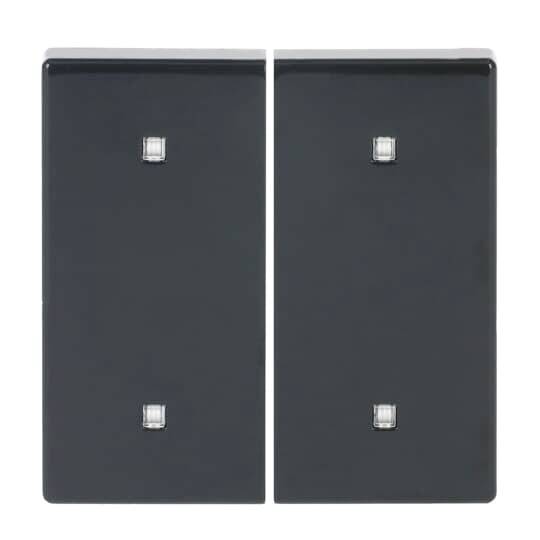 Busch-Jaeger noir 2CKA001751A3272 1 pc(s)-0