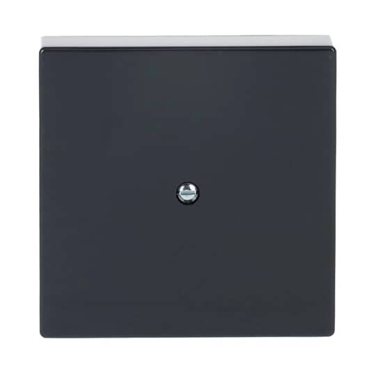 Busch-Jaeger noir 2CKA001710A3624 1 pc(s)-0