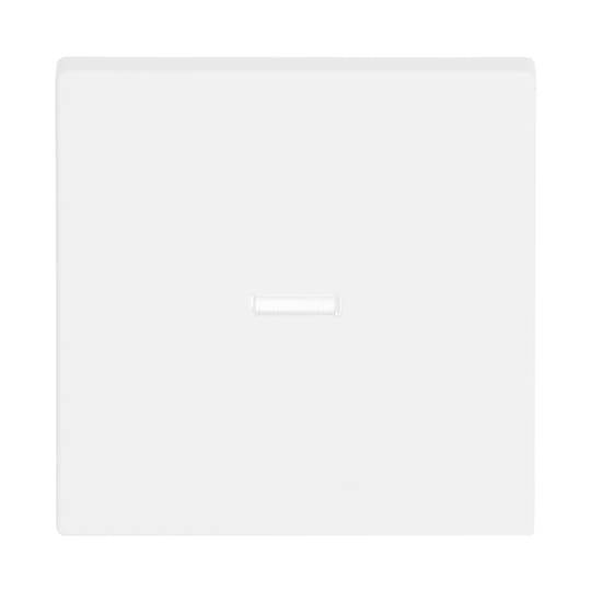 Busch-Jaeger 2CKA001751A3153 1 pc(s)-0
