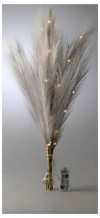 De l'herbe de pampa séchée de grande taille dans un vase, enveloppée de guirlandes lumineuses chaudes contre un mur gris uni.