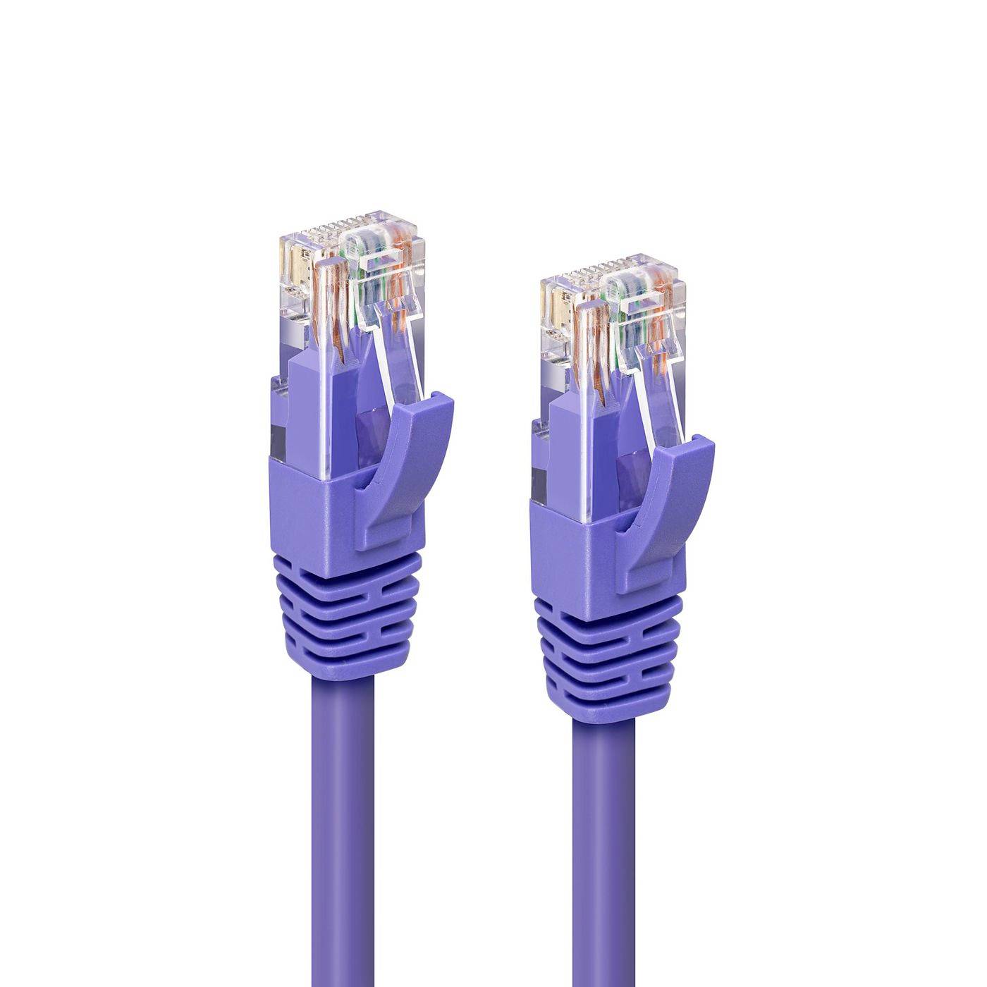 Deux câbles Ethernet violets avec connecteurs RJ45 affichés côte à côte sur un fond blanc.