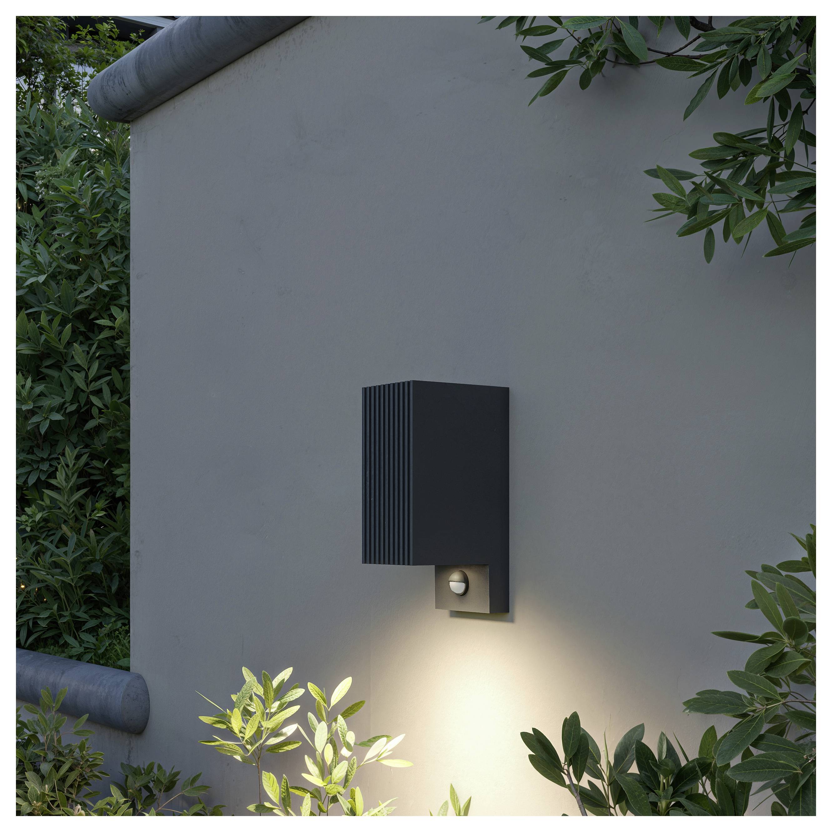 Applique murale extérieure rectangulaire noire sur un mur clair, projetant une lueur chaleureuse vers le bas au milieu de la verdure environnante.