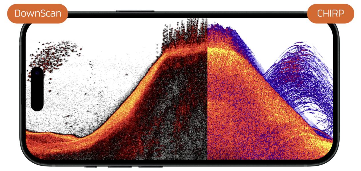 Écran de smartphone montrant une comparaison côte à côte de deux modes de rendu étiquetés « DownScan » et « CHIRP » avec un affichage de sonar de type détecteur de poissons.