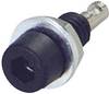 Electro PJP 224-M5 Fiche femelle de laboratoire Ø de la broche: 2 mm noir 1 pc(s)