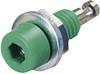 Electro PJP 224-M5 Fiche femelle de laboratoire Ø de la broche: 2 mm vert 1 pc(s)