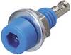 Electro PJP 224-M5 Fiche femelle de laboratoire Ø de la broche: 2 mm bleu 1 pc(s)