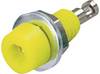Electro PJP 224-M5 Fiche femelle de laboratoire Ø de la broche: 2 mm jaune 1 pc(s)