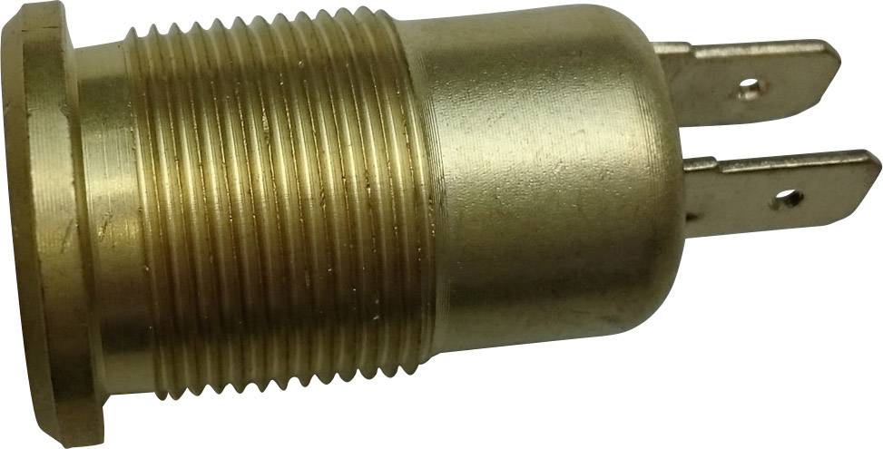 Pièce cylindrique métallique filetée avec deux contacts à broches plats.