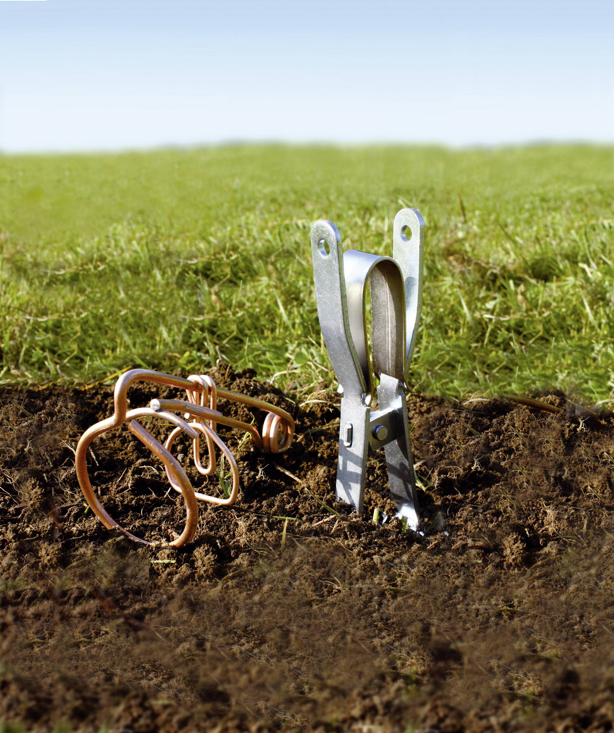 Deux figures métalliques ressemblant à des animaux semblent émerger de la terre, l'une en cuivre, l'autre en métal argenté, sur un fond d'herbe.