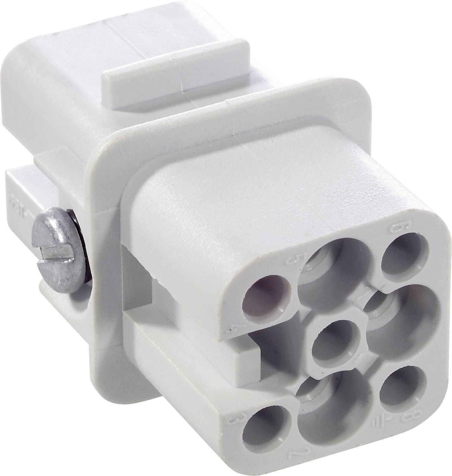 Prise électrique grise à six trous ronds, avec une vis latérale de fixation.