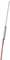 Sonde de température avec capteur métallique long et câble rouge, utilisée pour mesurer la température dans des expériences scientifiques.