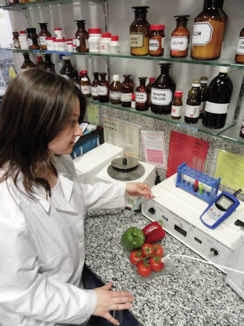 Thermomètre à sonde à piquer Greisinger GMH 2710 602123 -200 à +200 °C sonde Pt1000-1