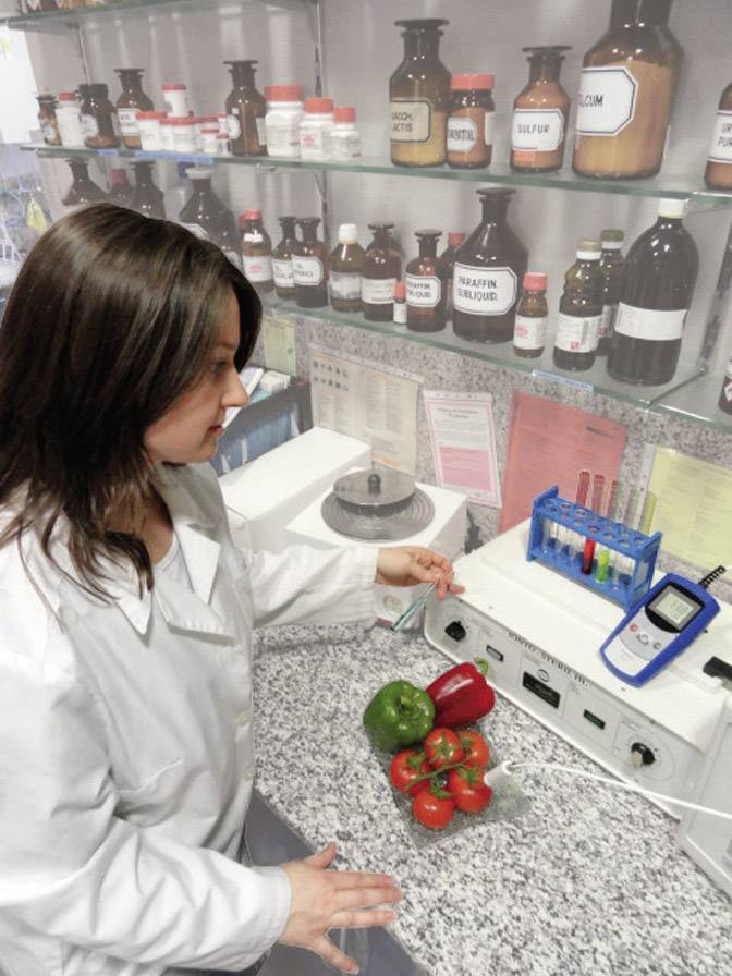 Thermomètre à sonde à piquer Greisinger GMH 2710 602123 -200 à +200 °C sonde Pt1000-2