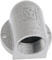 Presse Etoupe Coude Lapp Skindicht Se Pg 36 52004150 Pg36 Fonte Naturel 1 Pc S Conrad Fr