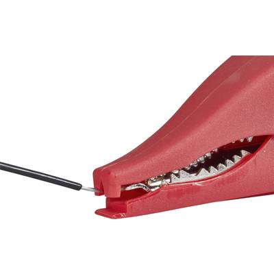 Borne de batterie rouge avec un pince métallique dentelée maintenant un câble noir.