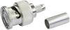 Telegärtner 100023316 100023316 Connecteur BNC mâle, droit 50 Ω 1 pc(s)