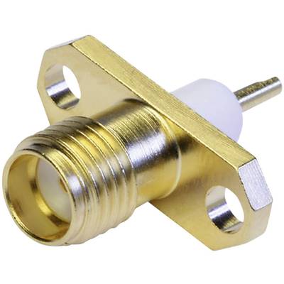 Un composant de connecteur coaxial RF doré à filetage, présenté en gros plan.