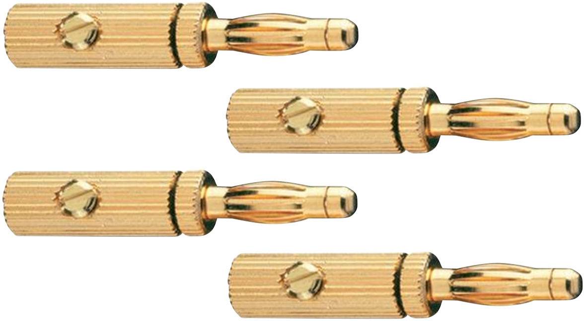 Quatre fiches bananes dorées pour câbles audio, disposées en ligne. Elles possèdent des poignées texturées pour une meilleure prise en main.