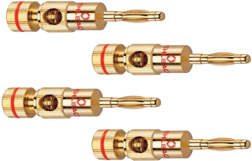 Quatre fiches bananes dorées avec des repères rouges, adaptées aux connexions de haut-parleurs.