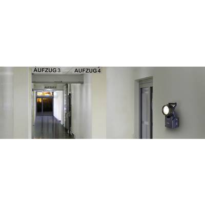 Un couloir avec des portes d'ascenseurs, étiquetées 'Ascenseur 2', 'Ascenseur 3' et 'Ascenseur 4'. Sur la gauche, on peut voir des portes vitrées menant à l'extérieur.