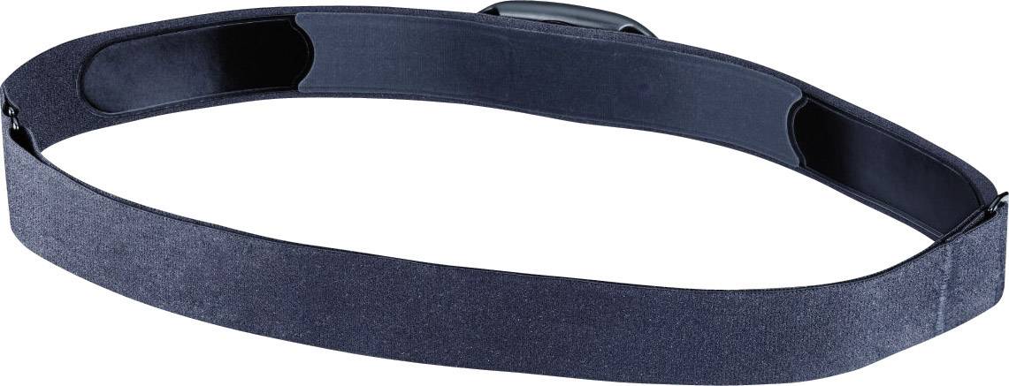 Ceinture pectorale outlet