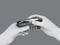 Deux mains tiennent un jeu d'embouts de tournevis avec différents embouts et un tournevis sur un fond gris.