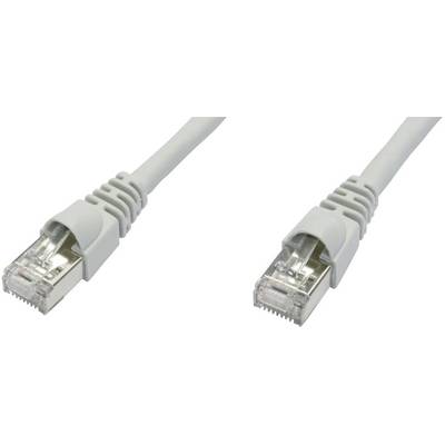 Deux câbles Ethernet gris avec connecteurs RJ45 aux deux extrémités, adaptés aux connexions réseau.