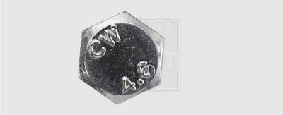 Voici la face supérieure d'une vis à tête hexagonale en argent portant les inscriptions « CW » et « 4.6 ».