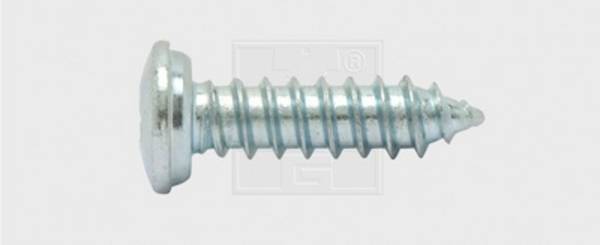 SWG 1030551925  Vis pour plaques minéralogiques 5.5 mm 19 mm cruciforme    acier galvanisé 100 pc(s)