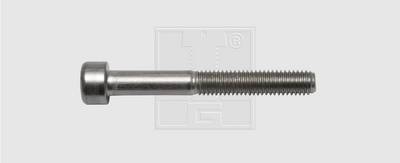 Vis à empreinte hexagonale SWG 4009146506175 50 pc(s) M5 40 mm 6 pans intérieurs acier inoxydable N/A
