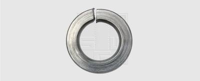 SWG 447867 Rondelle Grower Diamètre intérieur: 8.1 mm M8 DIN 127 acier inoxydable A2 75 pc(s)