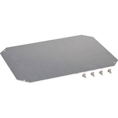 Une plaque rectangulaire en métal, légèrement inclinée, avec quatre vis à côté.