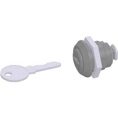 Interrupteur à clé avec une clé argentée à côté. L'interrupteur est rond, noir avec un bord blanc. La clé s'insère dans l'interrupteur.