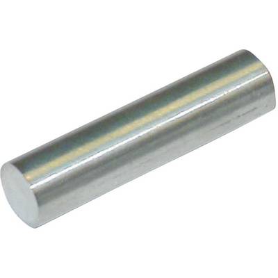 Un morceau de métal cylindrique, susceptible d'être utilisé comme goupille ou axe. Il présente une surface lisse et brillante.