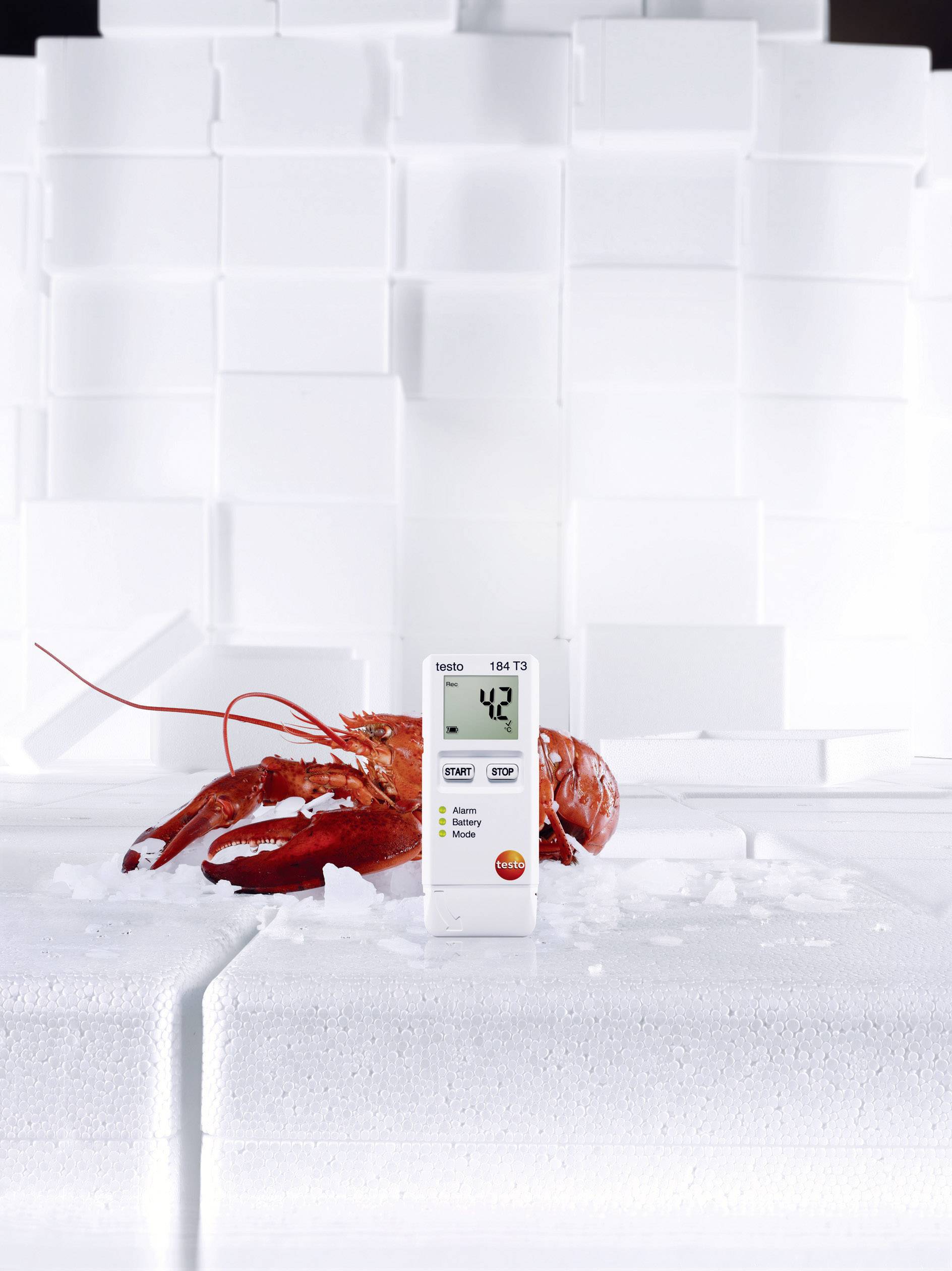 Un homard rouge sur la glace devant des boîtes blanches. Un thermomètre indique 4,2 degrés et démontre la température de conservation correcte.