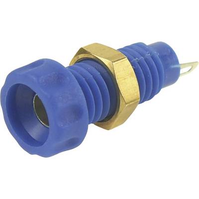 Interrupteur de pression pour fluide frigorigène bleu avec raccord métallique de couleur or. Utilisé dans les systèmes de climatisation pour surveiller la pression.