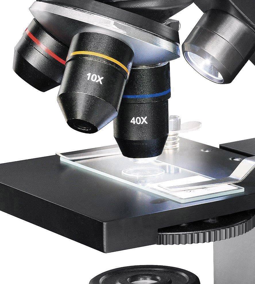 Gros plan d'un microscope avec deux objectifs grossis dirigés vers une lame porte-objet contenant un échantillon.