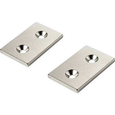 Deux plaques rectangulaires en métal argenté, chacune percée de deux trous en leur centre, reposant sur un fond blanc.